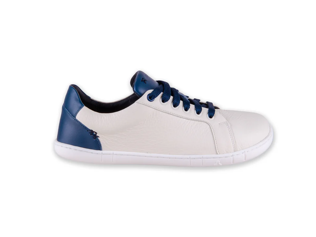 ANTAL - CAMINO NAVY