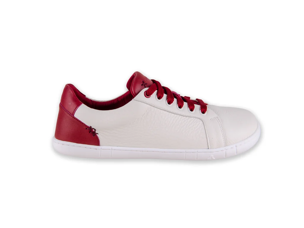 ANTAL - CAMINO RED